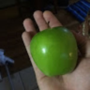 Meet your Posher, Javier